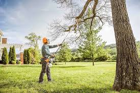 Best Tree Cabling and Bracing  in Hometown, IL