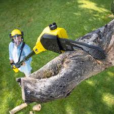 Best Organic Lawn Care Solutions  in Hometown, IL